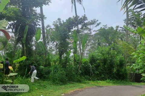 200m2 Land in Ubud, Gianyar, Indonesia No. 13355 5
