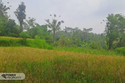 200m2 Land in Ubud, Gianyar, Indonesia No. 13355 10