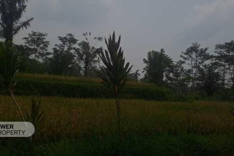 200m2 Land in Ubud, Gianyar, Indonesia No. 13355 6