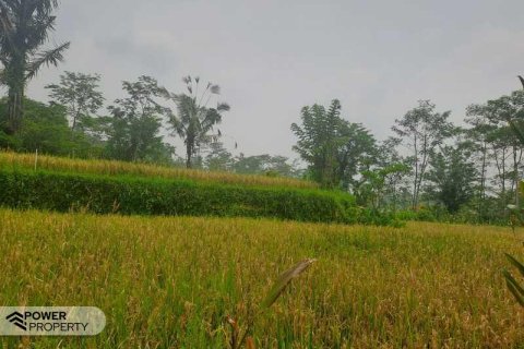 200m2 Land in Ubud, Gianyar, Indonesia No. 13355 16