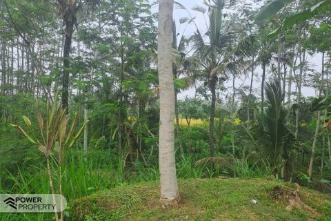 200m2 Land in Ubud, Gianyar, Indonesia No. 13355 21