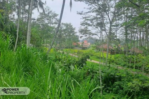 200m2 Land in Ubud, Gianyar, Indonesia No. 13355 18