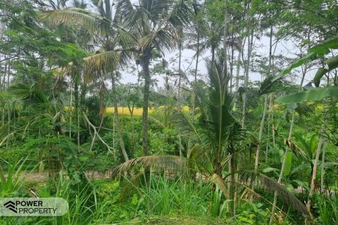 200m2 Land in Ubud, Gianyar, Indonesia No. 13355 15