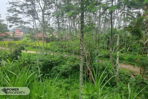 200m2 Land in Ubud, Gianyar, Indonesia No. 13355 20