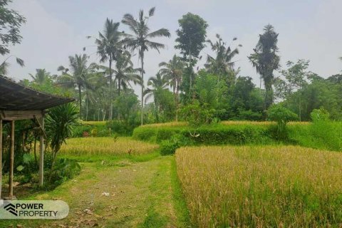 200m2 Land in Ubud, Gianyar, Indonesia No. 13355 9