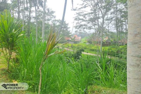200m2 Land in Ubud, Gianyar, Indonesia No. 13355 4