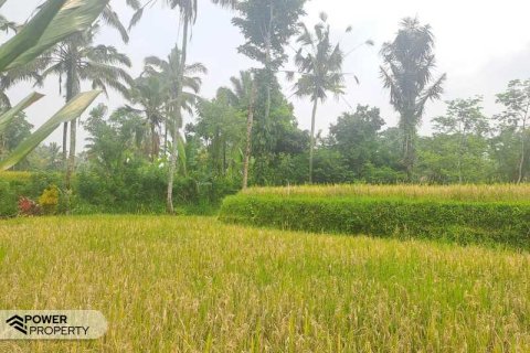 200m2 Land in Ubud, Gianyar, Indonesia No. 13355 7