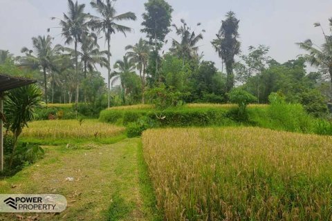 200m2 Land in Ubud, Gianyar, Indonesia No. 13355 12