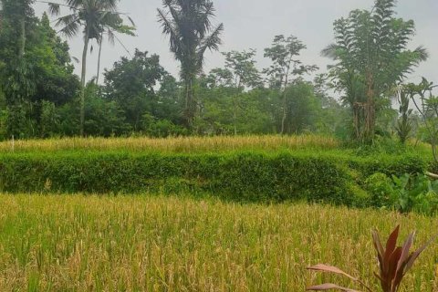 200m2 Land in Ubud, Gianyar, Indonesia No. 13355 11