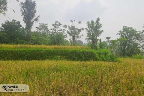 200m2 Land in Ubud, Gianyar, Indonesia No. 13355 14