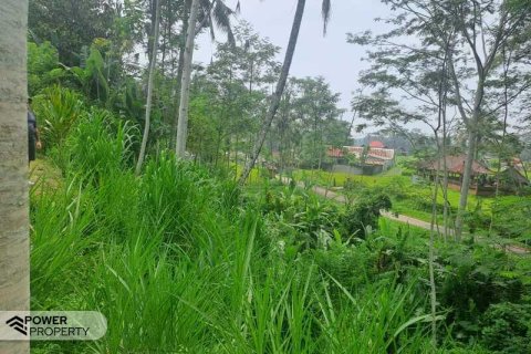 200m2 Land in Ubud, Gianyar, Indonesia No. 13355 23