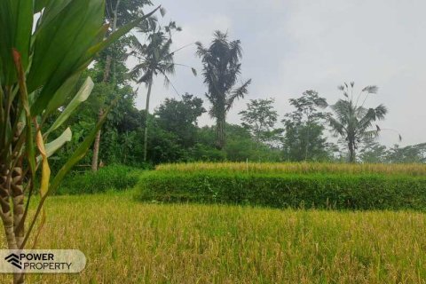 200m2 Land in Ubud, Gianyar, Indonesia No. 13355 19