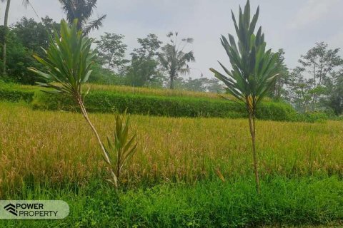 200m2 Land in Ubud, Gianyar, Indonesia No. 13355 3