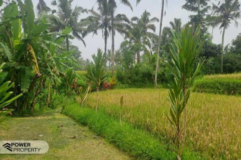 200m2 Land in Ubud, Gianyar, Indonesia No. 13355 2
