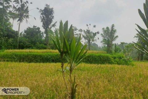 200m2 Land in Ubud, Gianyar, Indonesia No. 13355 13