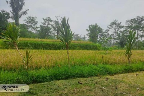 200m2 Land in Ubud, Gianyar, Indonesia No. 13355 17
