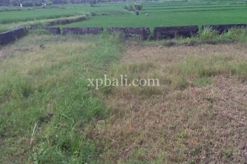 336m2 Land in Gianyar, Indonesia No. 13359 4