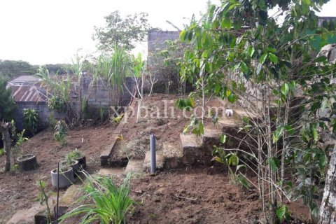 800m2 Land in Buleleng, Indonesia No. 13356 8