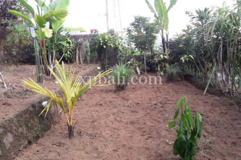800m2 Land in Buleleng, Indonesia No. 13356 10