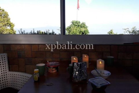 800m2 Land in Buleleng, Indonesia No. 13356 4