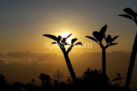 800m2 Land in Buleleng, Indonesia No. 13356 9