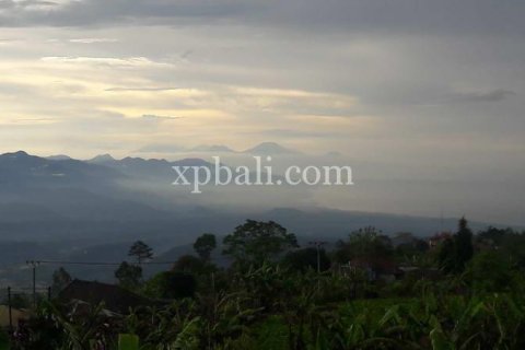 800m2 Land in Buleleng, Indonesia No. 13356 14