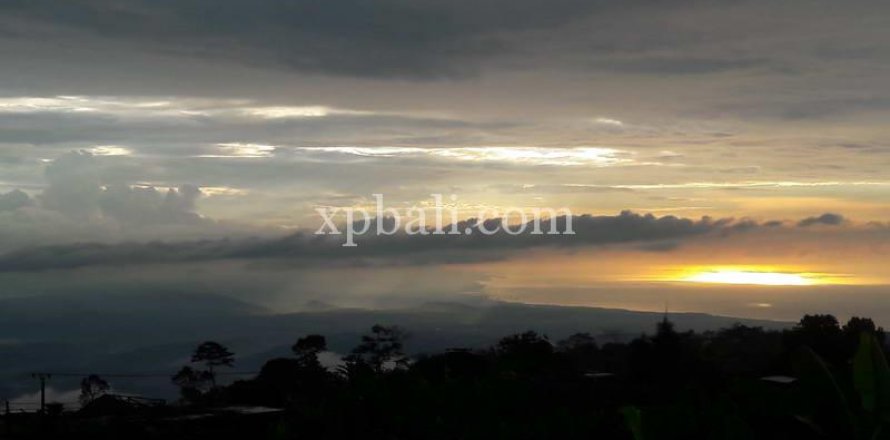 800m2 Land in Buleleng, Indonesia No. 13356