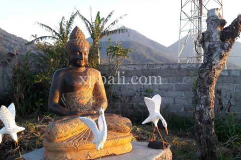 800m2 Land in Buleleng, Indonesia No. 13356 19