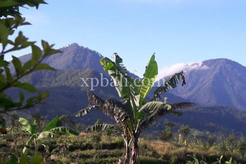 800m2 Land in Buleleng, Indonesia No. 13356 17
