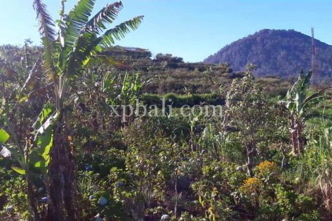 800m2 Land in Buleleng, Indonesia No. 13356 20