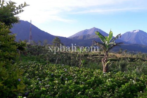 800m2 Land in Buleleng, Indonesia No. 13356 18