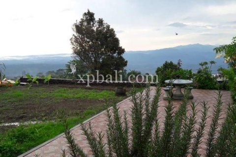 800m2 Land in Buleleng, Indonesia No. 13356 3