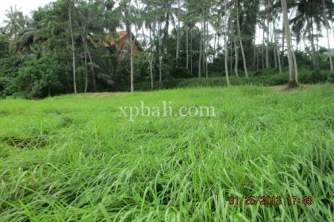 4175m2 Land in Gianyar, Indonesia No. 13360 6