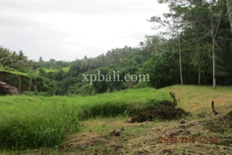 4175m2 Land in Gianyar, Indonesia No. 13360 9