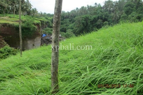 4175m2 Land in Gianyar, Indonesia No. 13360 5