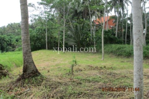 4175m2 Land in Gianyar, Indonesia No. 13360