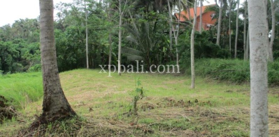 4175m2 Land in Gianyar, Indonesia No. 13360