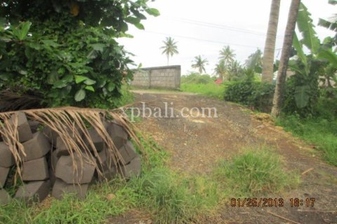 4175m2 Land in Gianyar, Indonesia No. 13360 3