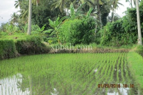 4175m2 Land in Gianyar, Indonesia No. 13360 2