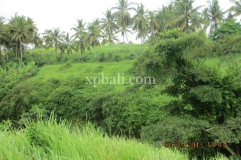 4175m2 Land in Gianyar, Indonesia No. 13360 4