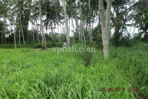 4175m2 Land in Gianyar, Indonesia No. 13360 7