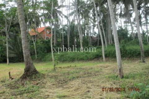 4175m2 Land in Gianyar, Indonesia No. 13360 8