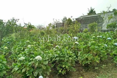 825m2 Land in Tabanan, Indonesia No. 13357