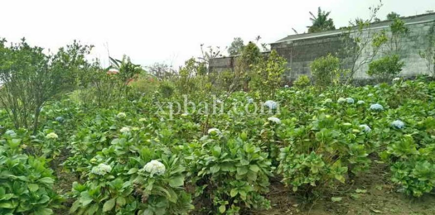 825m2 Land in Tabanan, Indonesia No. 13357