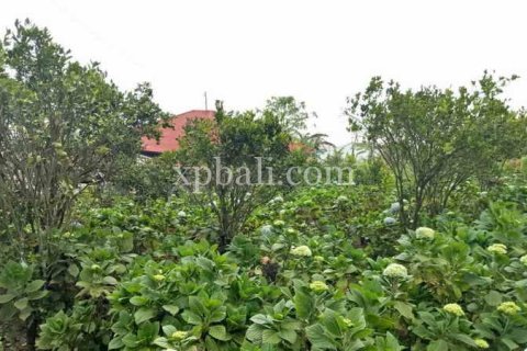825m2 Land in Tabanan, Indonesia No. 13357 7