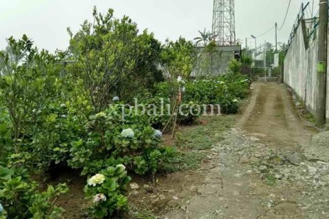 825m2 Land in Tabanan, Indonesia No. 13357 2