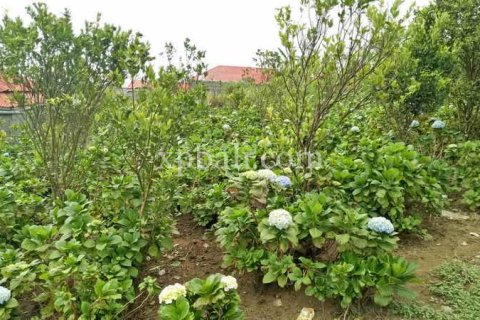 825m2 Land in Tabanan, Indonesia No. 13357 5