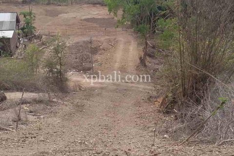 1092m2 Land in Indonesia No. 13358 7