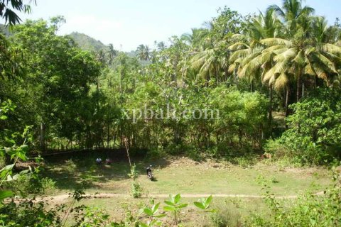 1092m2 Land in Indonesia No. 13358