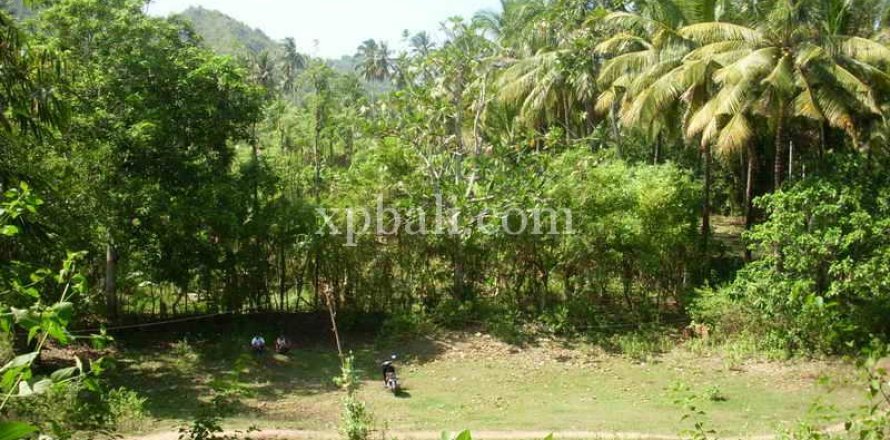1092m2 Land in Indonesia No. 13358
